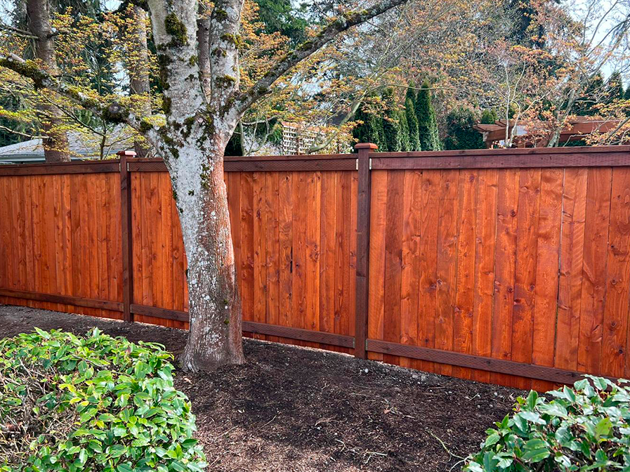 fences-portfolio-edn-home-improviment